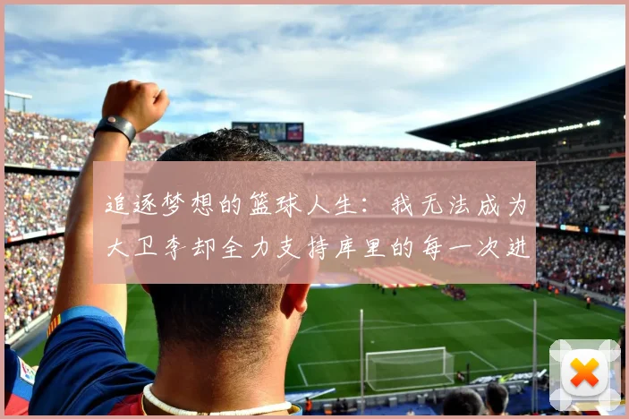 追逐梦想的篮球人生：我无法成为大卫李却全力支持库里的每一次进攻